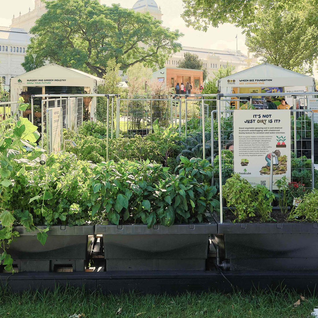 Foodcube™  Slim - The Next Generation of Self Watering Raised Garden Elevated