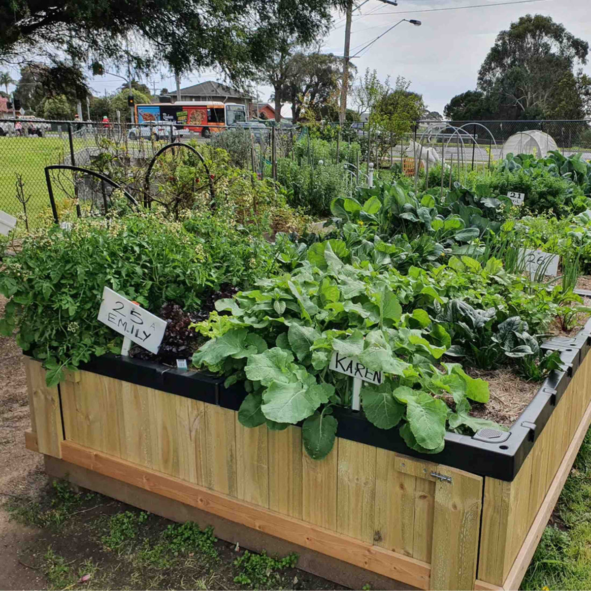 Foodcube™  Slim - The Next Generation of Self Watering Raised Garden Elevated