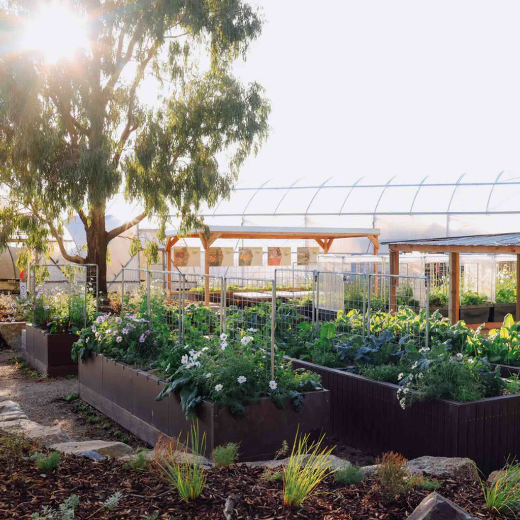 Foodcube™  Slim - The Next Generation of Self Watering Raised Garden Elevated
