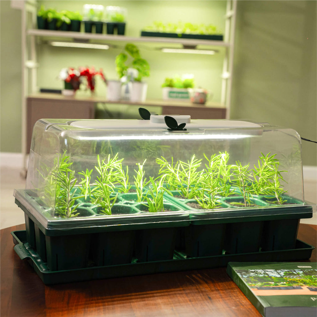 Giga 1020 Up Pot Bundle