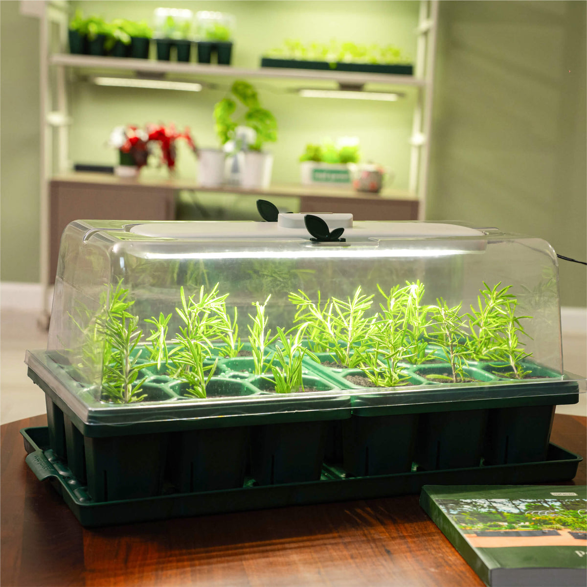 Giga 1020 Up Pot Bundle