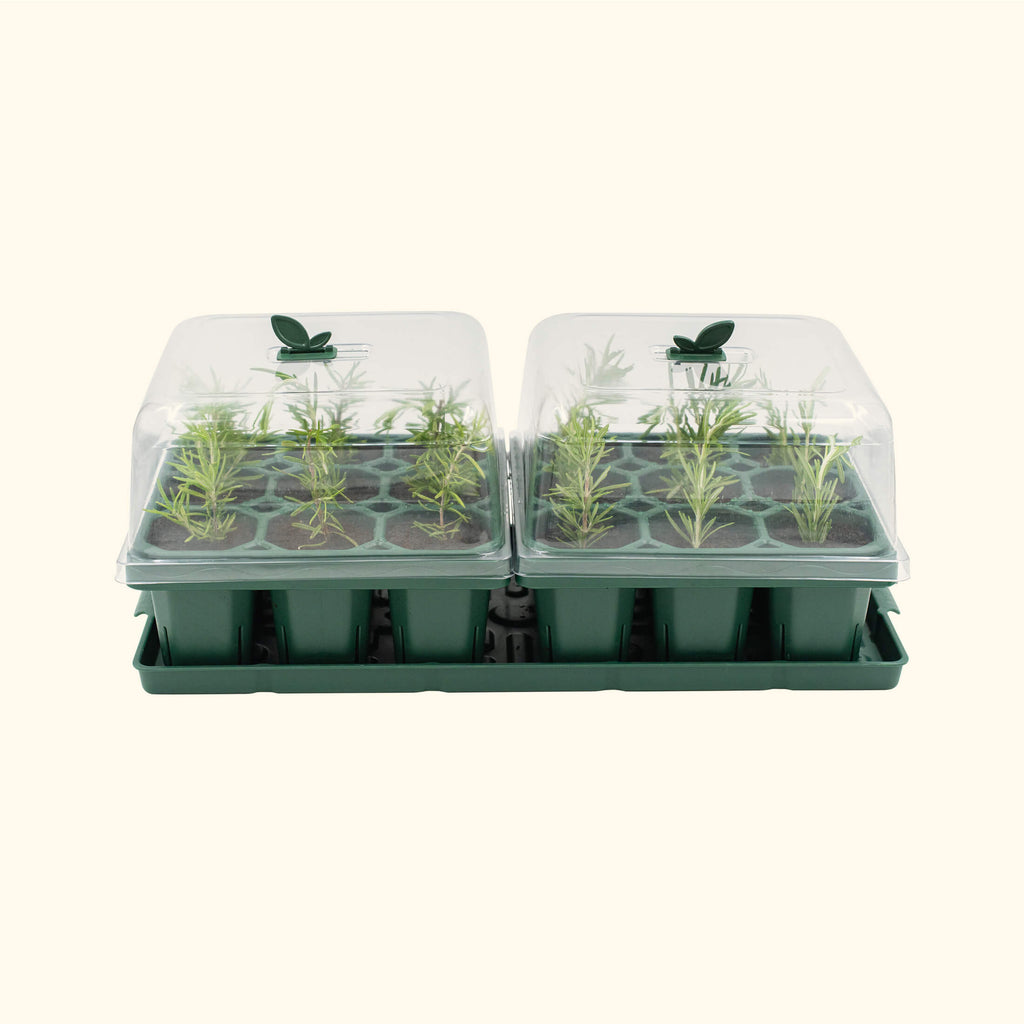 Giga 1020 Up Pot Bundle