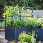 Vego Modern Pro Privacy Wall Trellis