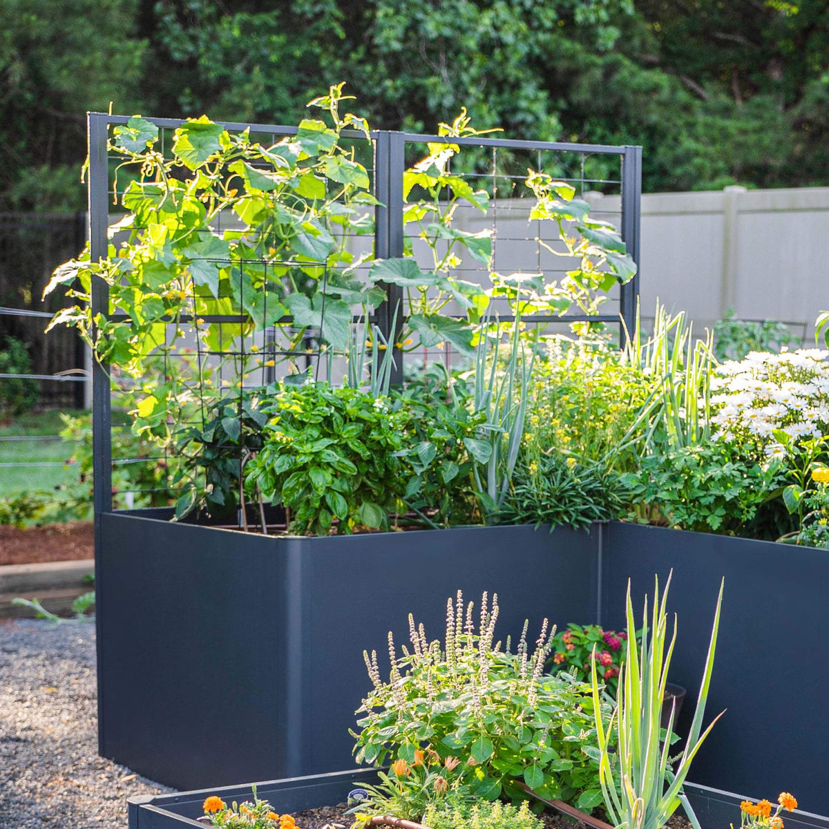 Vego Modern Pro Privacy Wall Trellis