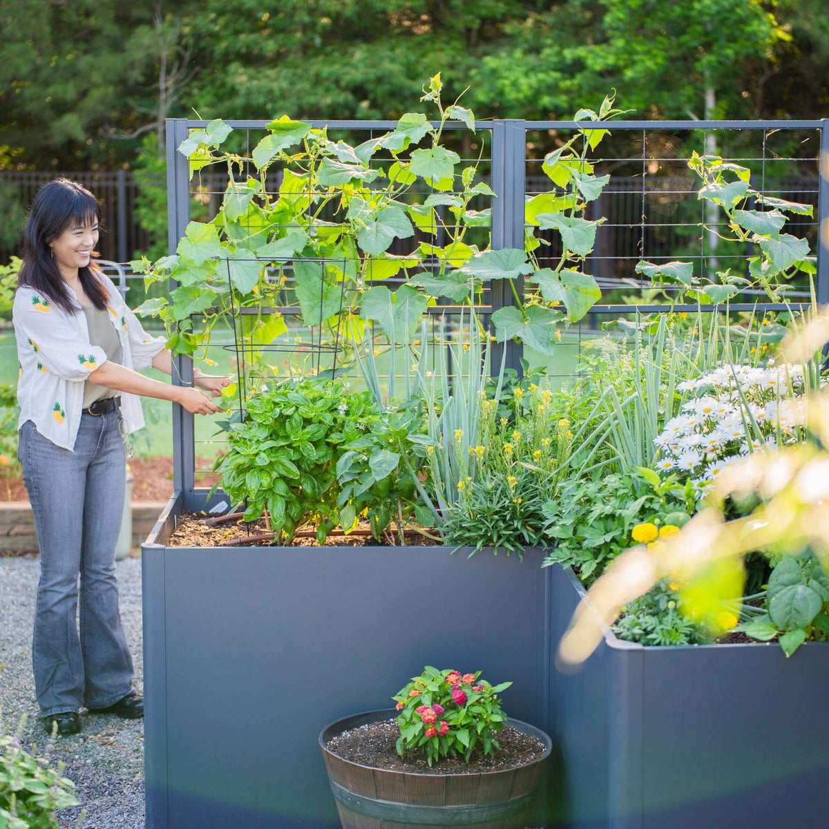 Vego Modern Pro Privacy Wall Trellis