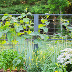 Vego Modern Pro Privacy Wall Trellis