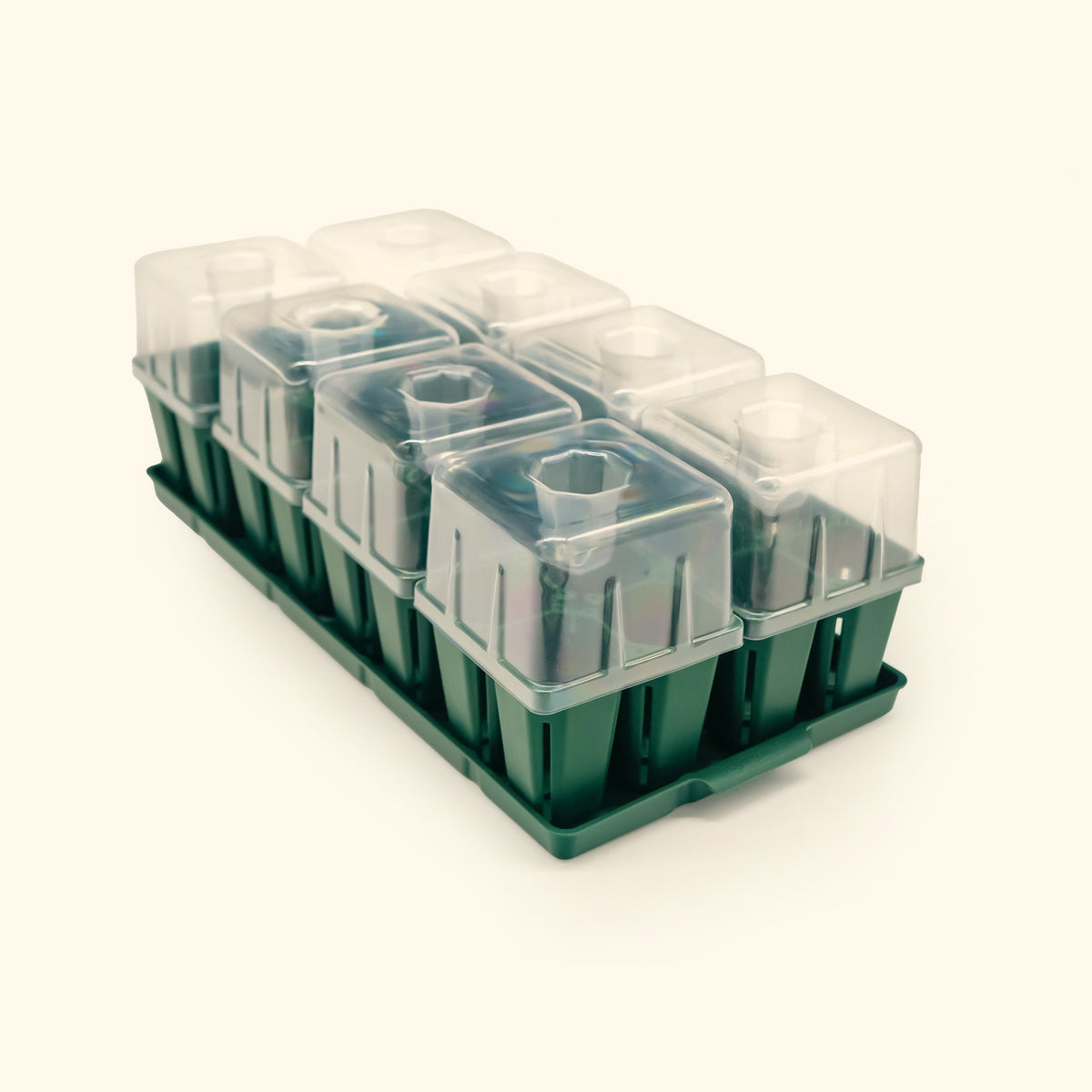 Seed Starting Bundle with Lid - 10" x 20"
