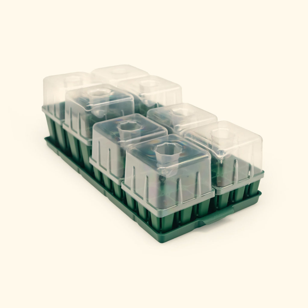 Seed Starting Bundle with Lid - 10" x 20"