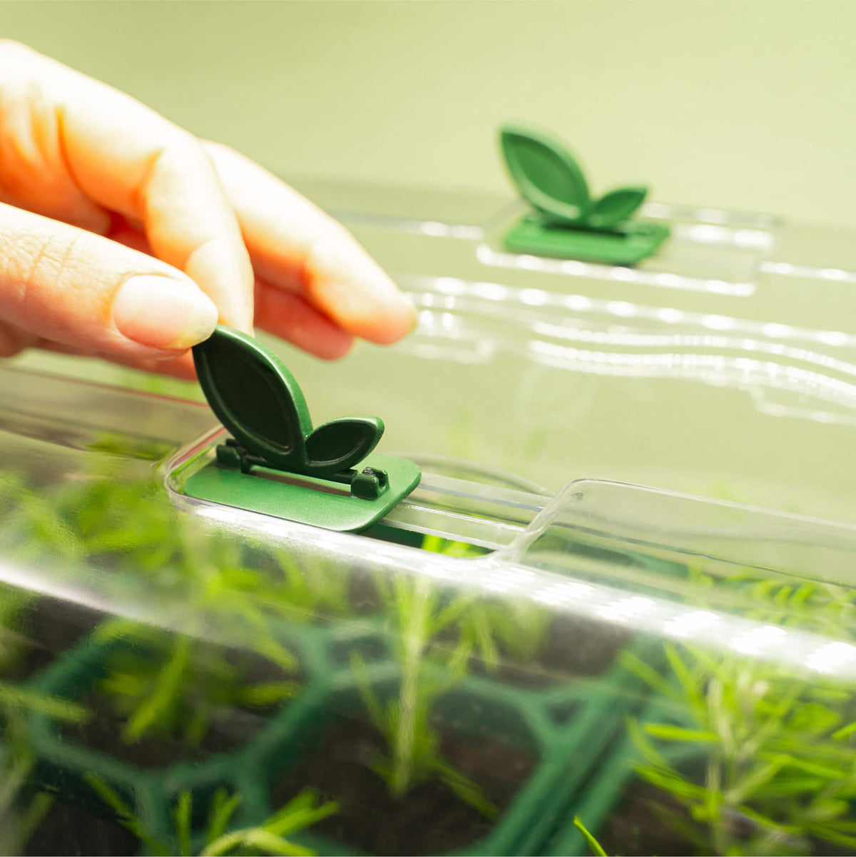 Seedling Humidity Dome - 10" x 20"