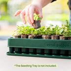 3-In-1 Plant 'n' Pop Board - 10" x 20"