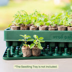 3-In-1 Plant 'n' Pop Board - 10" x 20"