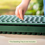 3-In-1 Plant 'n' Pop Board - 10" x 20"