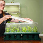Grow Light with Humidity Dome - 10" x 20"