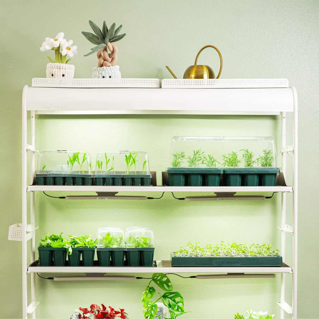 76 Cell 1020 Germination Cell Bundle