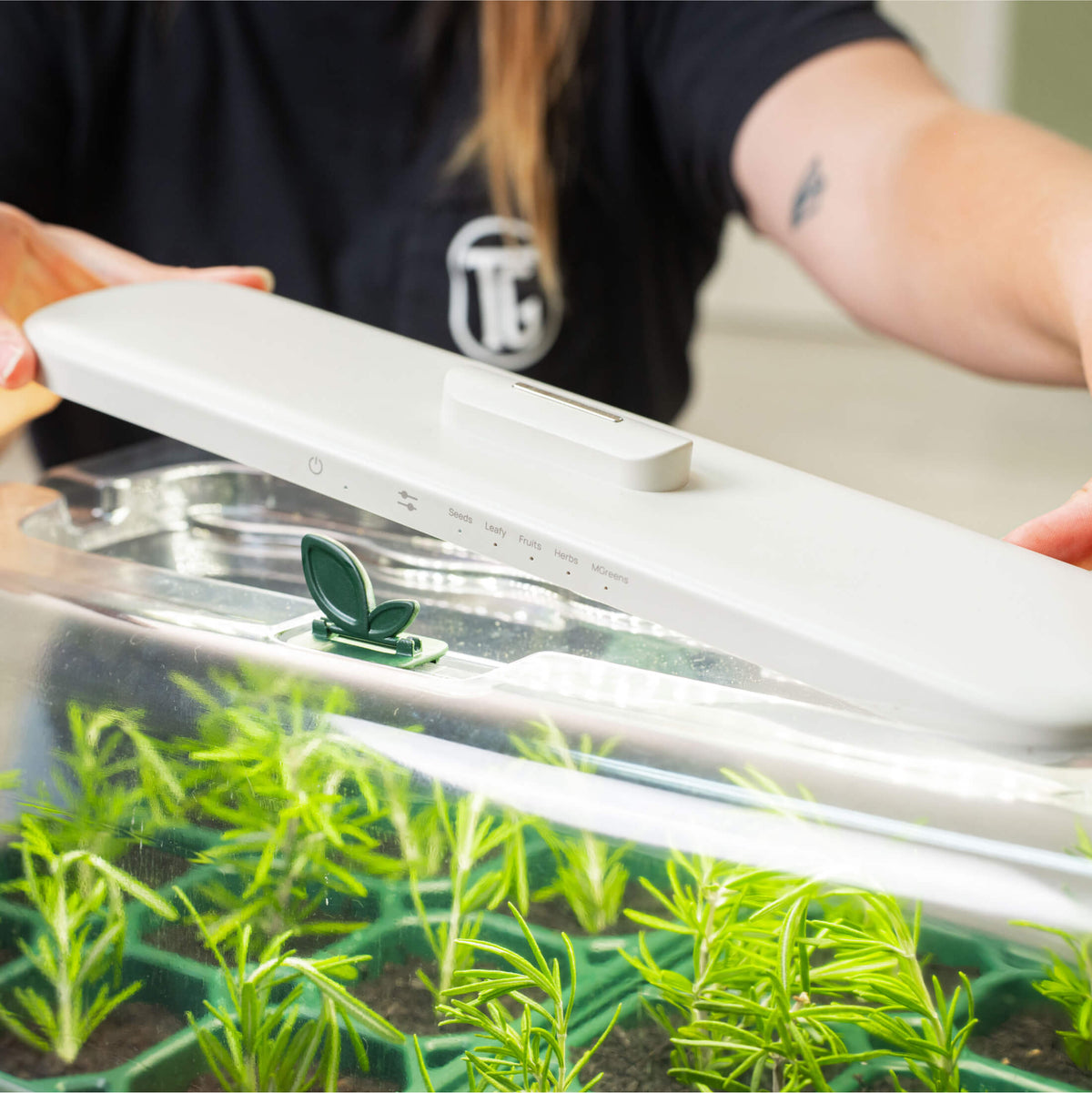 Grow Light with Humidity Dome - 10" x 20"