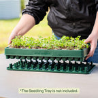 3-In-1 Plant 'n' Pop Board - 10" x 20"