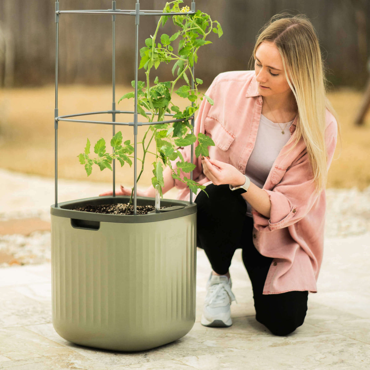 EZ Self-Watering Tomato Planter with Trellis Gen 1