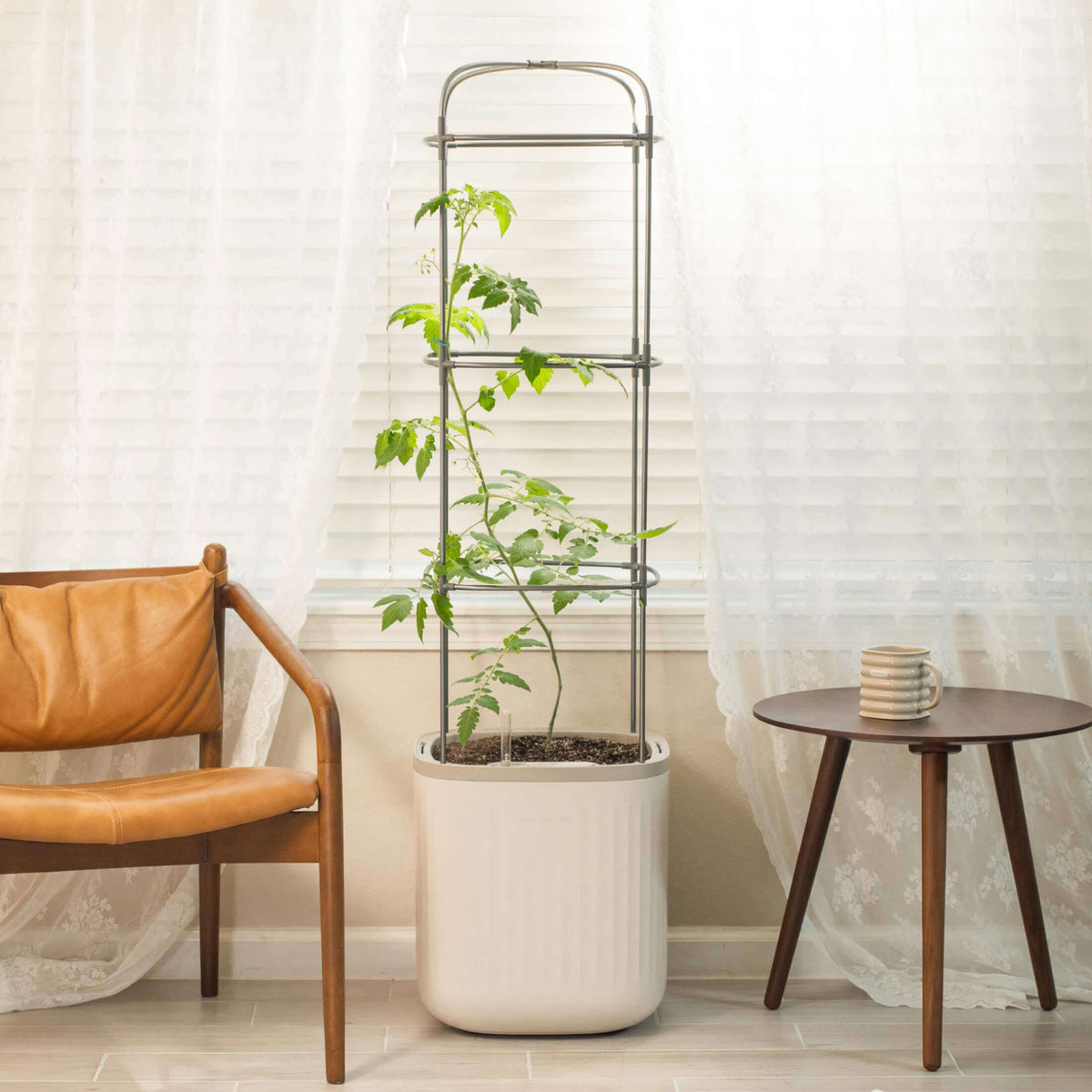 EZ Self-Watering Tomato Planter with Trellis Gen 1