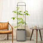EZ Self-Watering Tomato Planter with Trellis Gen 1