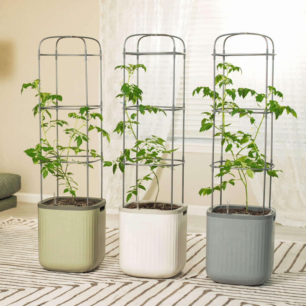 EZ Self-Watering Tomato Planter with Trellis Gen 1