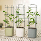 EZ Self-Watering Tomato Planter with Trellis Gen 1