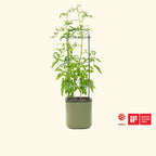 EZ Self-Watering Tomato Planter with Trellis Gen 1