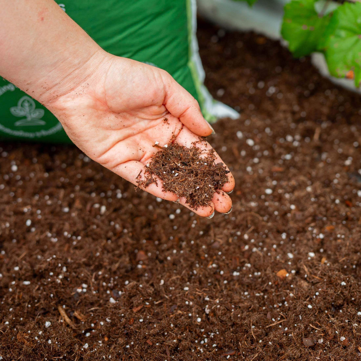 Vego Garden Bed Mix