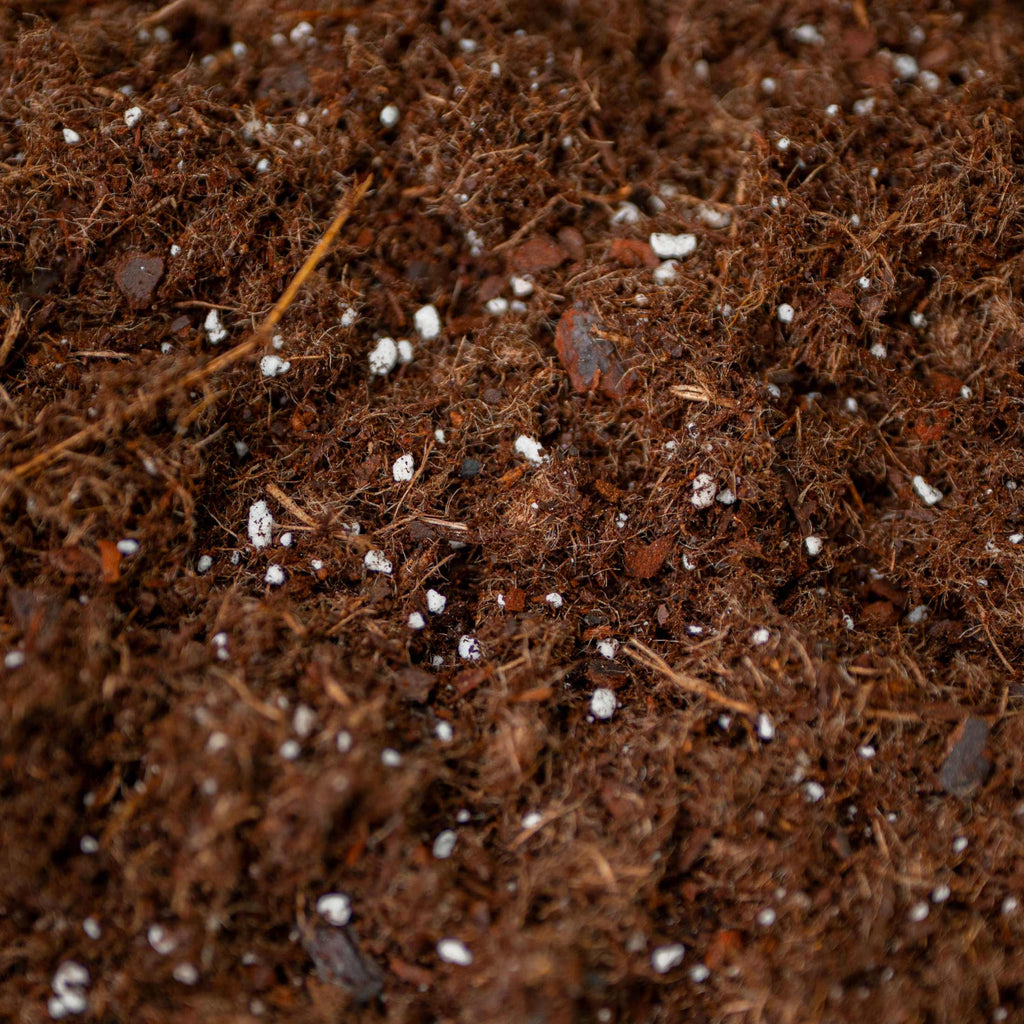 Vego Garden Bed Mix