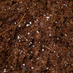 Vego Garden Bed Mix