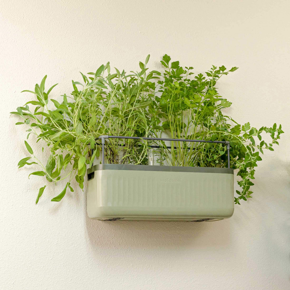 Planter Wall Mount Kit
