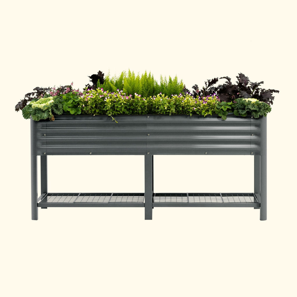 Elevated Garden Bed - 2' x 6'