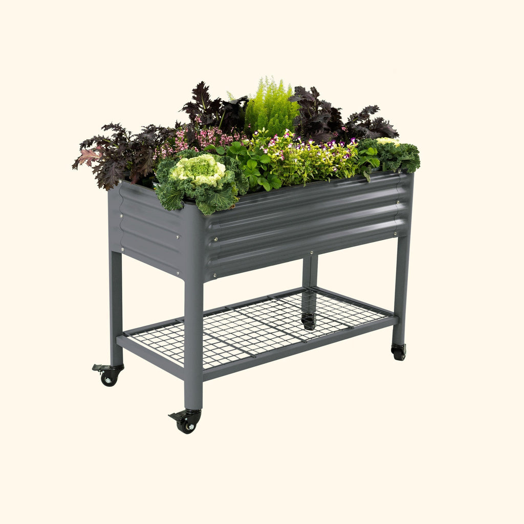 Elevated Garden Bed - 2' x 4'