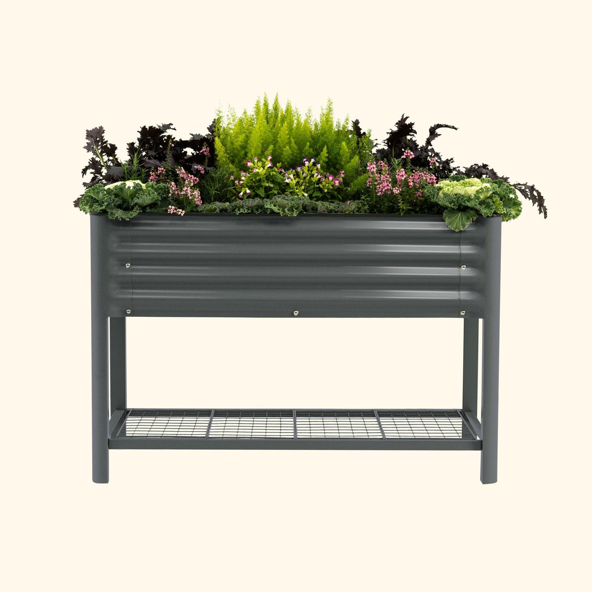 Elevated Garden Bed - 2' x 4'