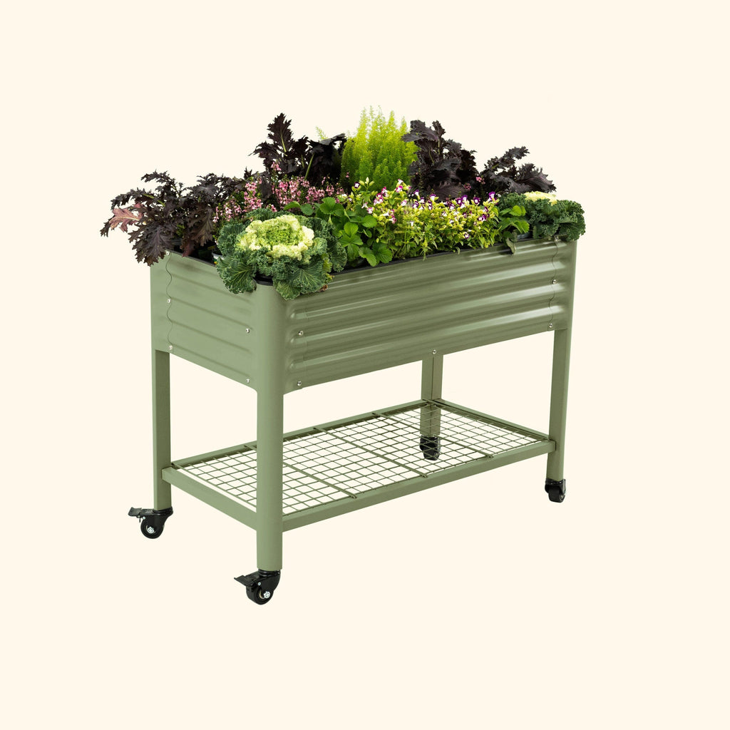 Elevated Garden Bed - 2' x 4'