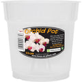 Growth Technology Clear Orchid Pot