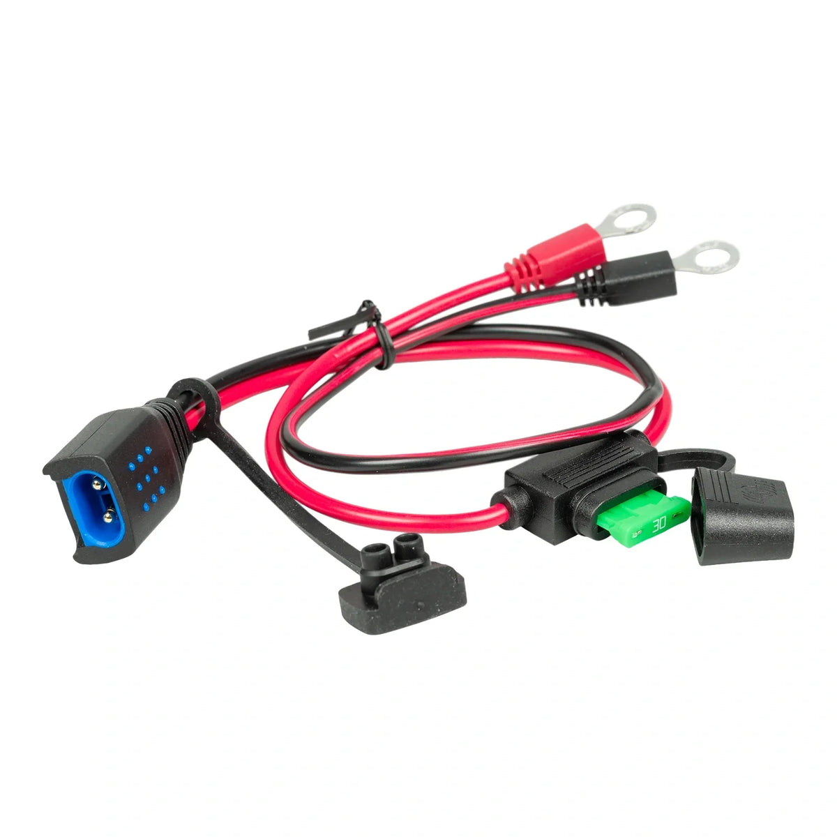 Victron M8 Eyelet Connector (w/ 30A ATO Fuse) (Suits IP65 Battery Charger)