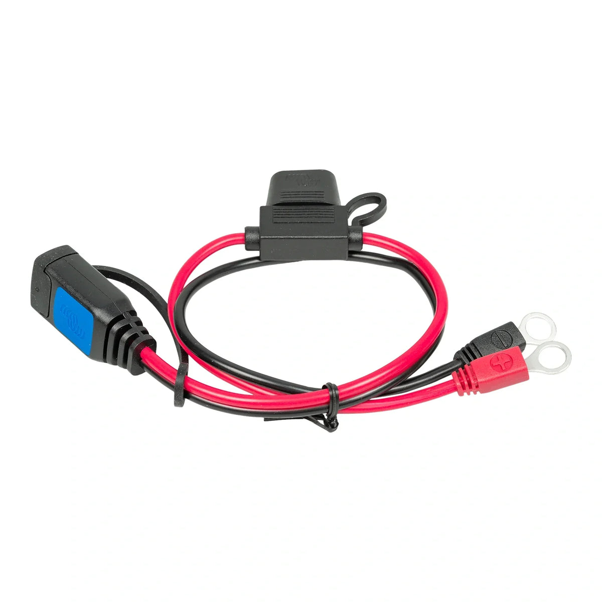 Victron M8 Eyelet Connector (w/ 30A ATO Fuse) (Suits IP65 Battery Charger)