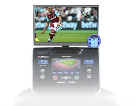 LANDICE VISION SYSTEM
