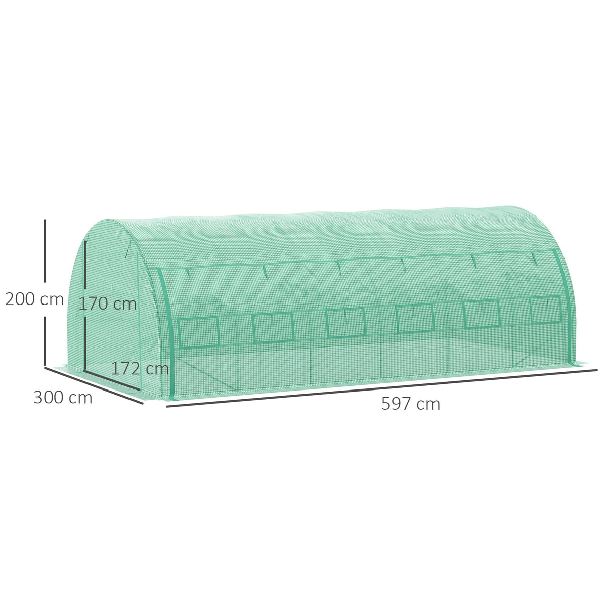 6 x 3 x 2m Polytunnel Greenhouse with Roll-up Side Walls, Reinforced Cover & 12 Mesh Windows, Green
