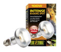 Exo Terra Intense Bask Spot/ 100W PT2138 pack of 2