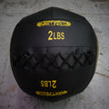 Kids 10" Premium Wall Ball - 2 LB (WBPBK-02)