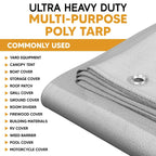 White/Silver Poly Tarp 8' x 10'