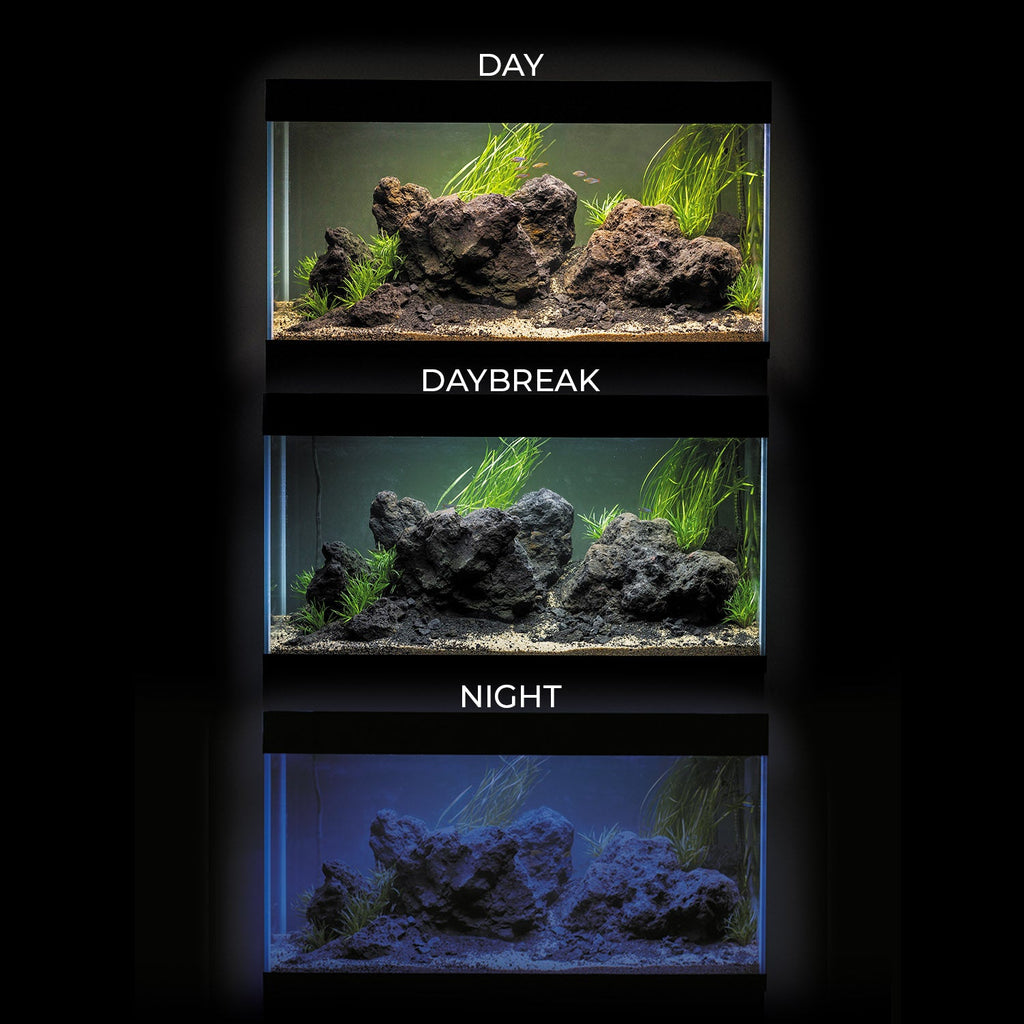 Aquael Optiset 240L Aquarium with LED Lighting