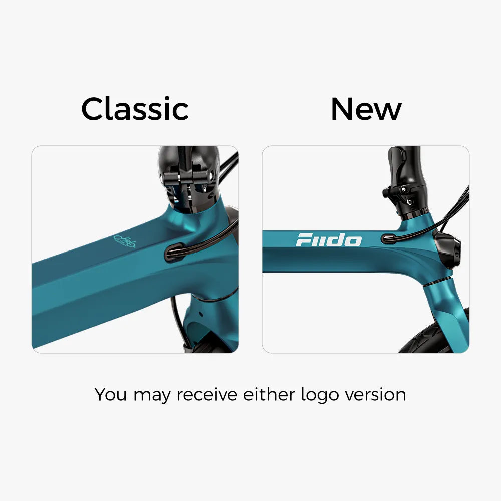 Fiido X Folding Electric Bike With Torque Sensor