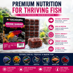 Aquacadabra Frozen Brine Shrimp 100g Fish Food Tropical Marine 5-40 Packs