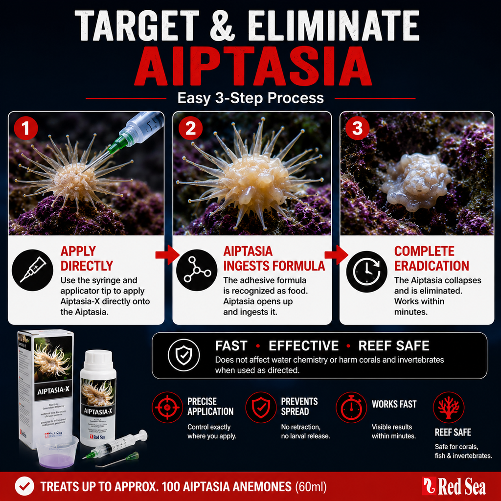 Red Sea Aiptasia-X 60ml Kit - R22231
