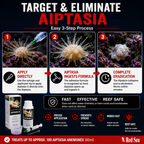 Red Sea Aiptasia-X 60ml Kit - R22231