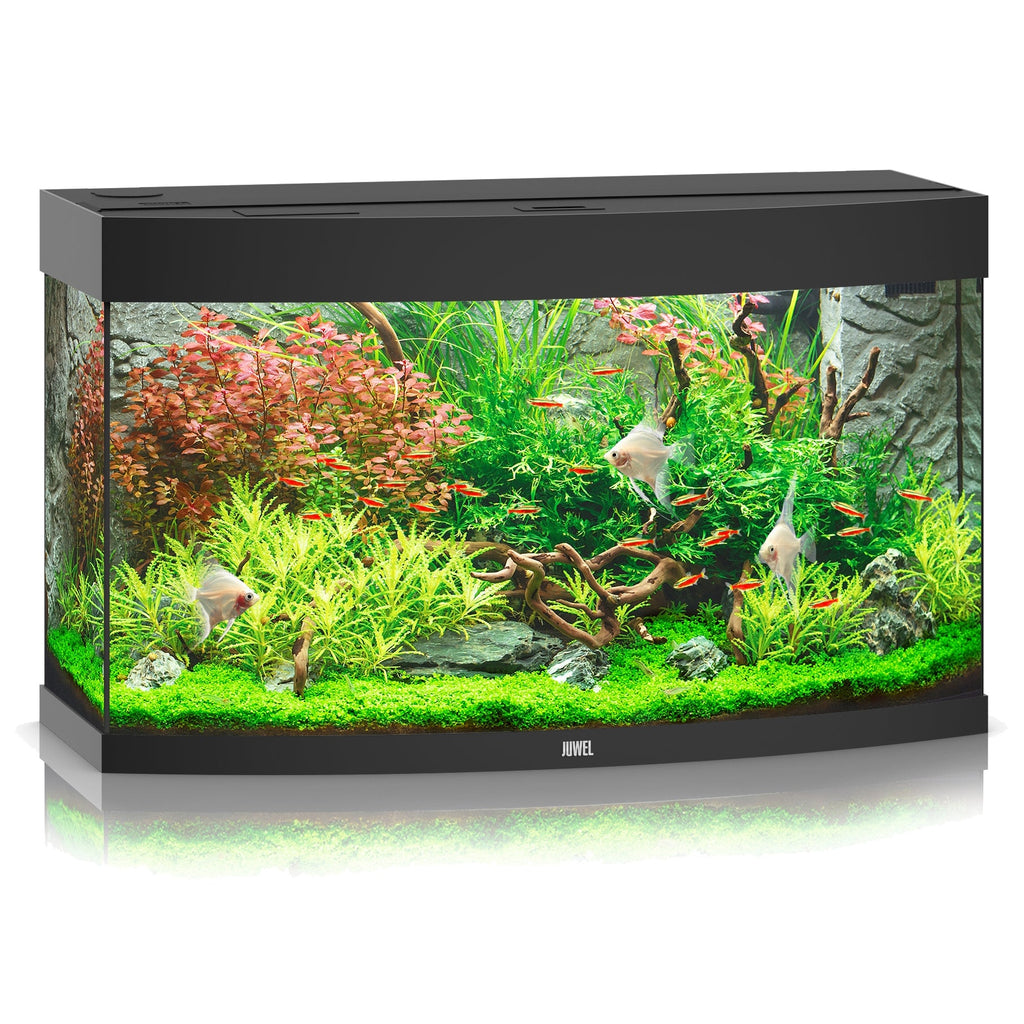 Juwel Vision 180 LED Aquarium with Multilux Lighting