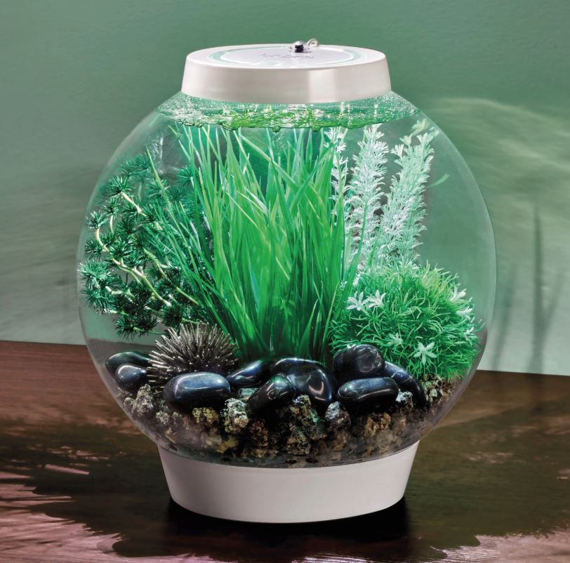 Oase biOrb Aquarium Fish Tank Tuvalu Decoration15L