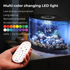 biOrb LOOP 30L Aquarium with MCR LED & 5-Step Filtration